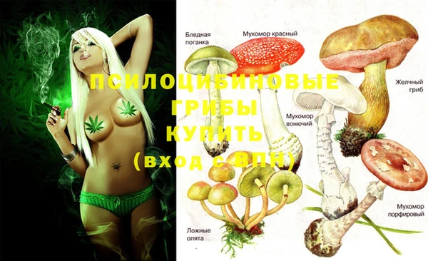 прущая мука Верея