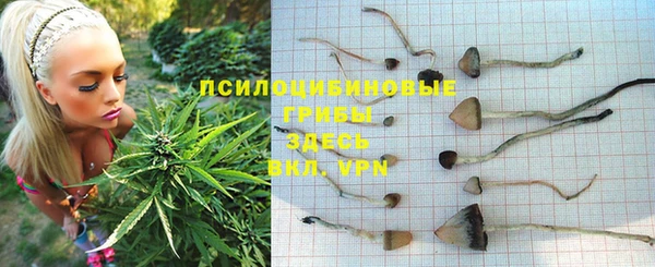 прущие крисы Верхнеуральск